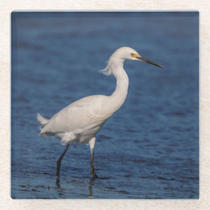 Snowy Egret am Nordstrand Glasuntersetzer