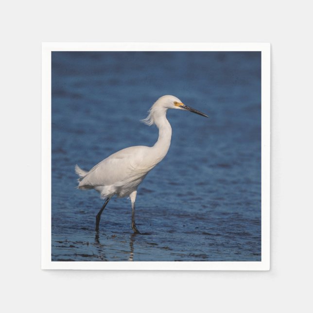 Snowy Egret am Nordstrand Serviette (Vorderseite)