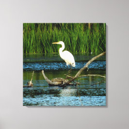 Snowy Egret auf Log-Canvas Print Leinwanddruck