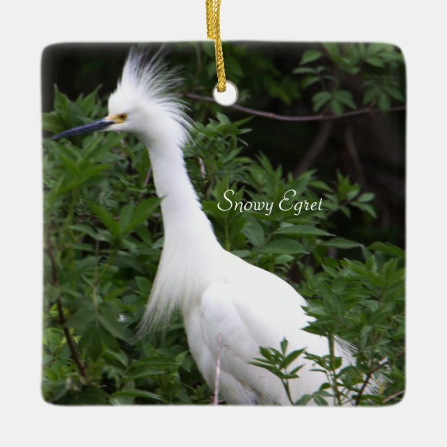 Snowy Egret Bird Ornament (Vorderseite)