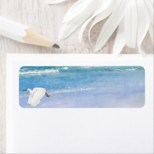 Snowy Egret Coastal