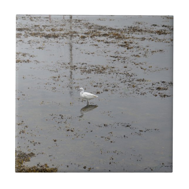 Snowy Egret Fliese (Vorderseite)