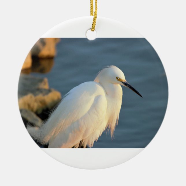 Snowy Egret Foto Keramik Ornament (Vorne)