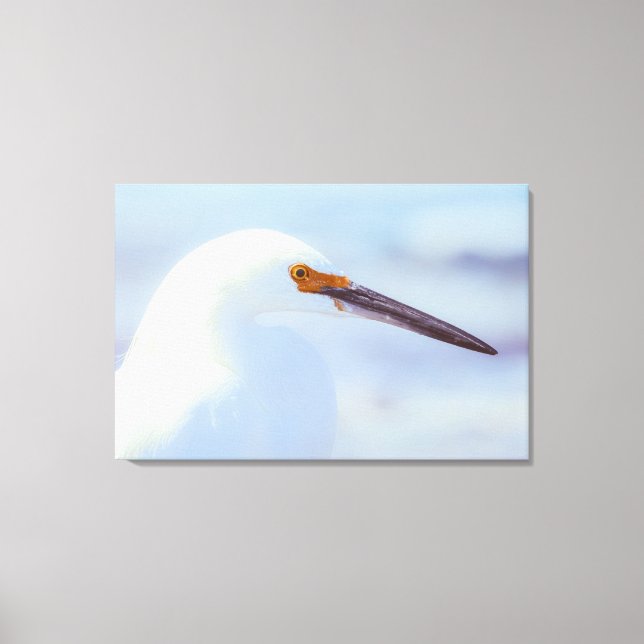 Snowy Egret Leinwanddruck (Vorderseite)