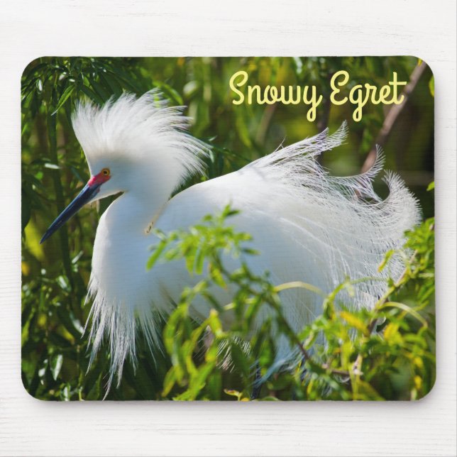 Snowy Egret Mousepad (Vorne)