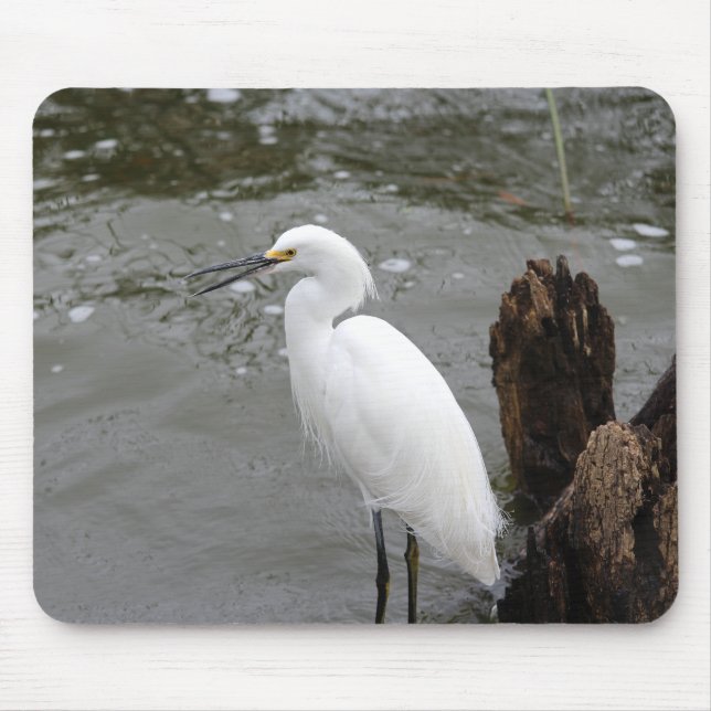 Snowy Egret Mousepad (Vorne)