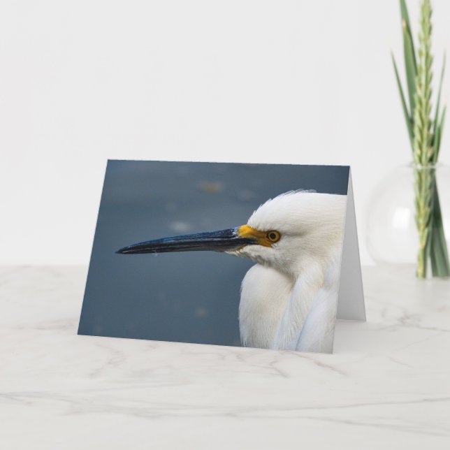 Snowy Egret Notecard Karte (Vorderseite)