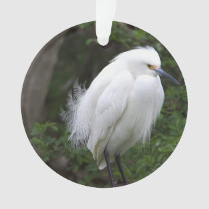 Snowy Egret Ornament