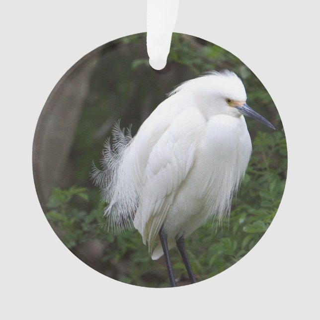 Snowy Egret Ornament (Vorderseite)