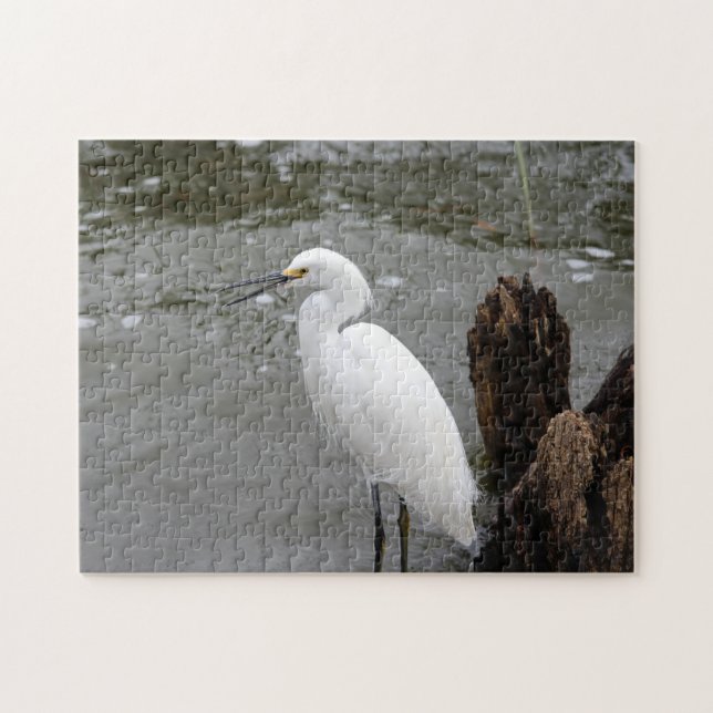 Snowy Egret Puzzle (Horizontal)