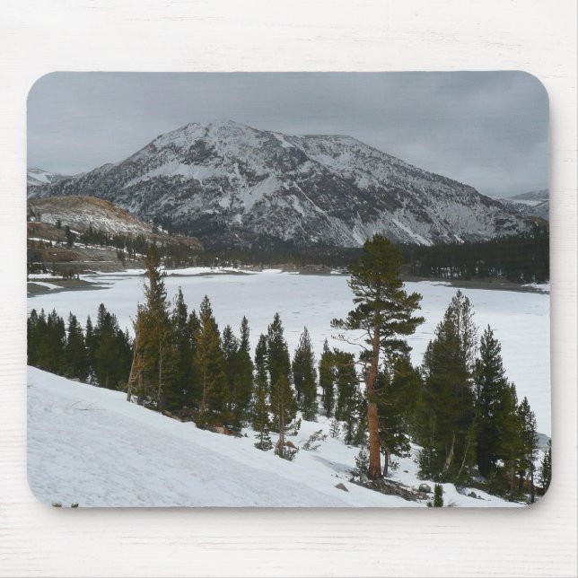 Snowy Ellery Lake California Winterfotografie Mousepad (Vorne)