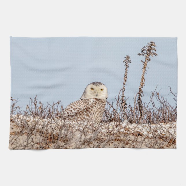 Snowy-Eule, die auf dem Strand sitzt Geschirrtuch (Horizontal)