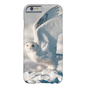Snowy-Eule, die vom Schnee sich entfernt Barely There iPhone 6 Hülle