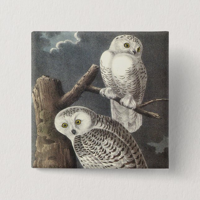 Snowy-Eule, John Audubon Button (Vorderseite)