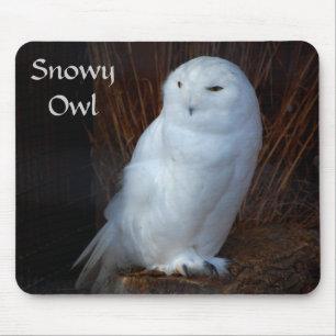Snowy-Eule - mousepad