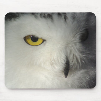 Snowy-Eule Mousepad