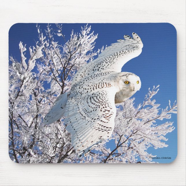 "Snowy-Eule" Mousepad (Vorne)