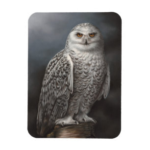 Snowy-Eulen-Foto-Magnet Magnet