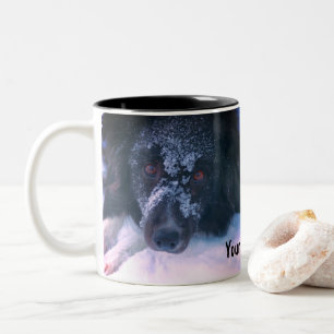 Snowy Faced Border Collie Niedlich Personalisiert Zweifarbige Tasse