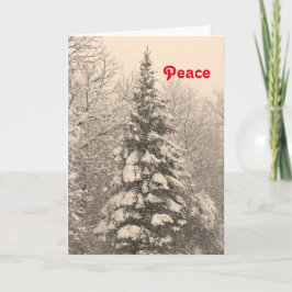 Snowy Farm Scene Blank Christmas Card Weihnachtska Feiertagskarte