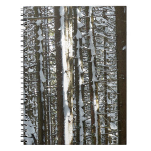 Snowy Fir Tree Notizblock