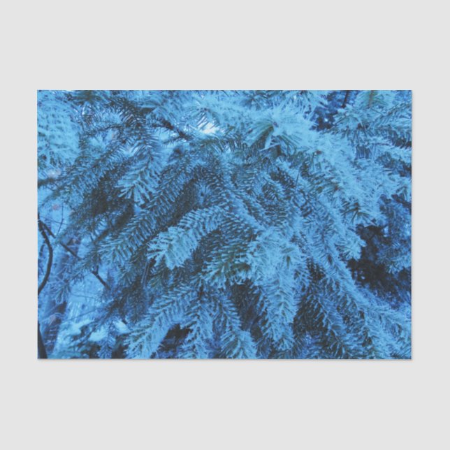 Snowy Forest Spruce Seidenpapier (Vorderseite)