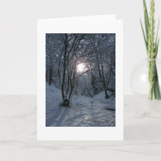 Snowy Forest Trail Karte