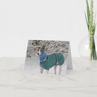 Snowy Girl: Greyhound Christmas Card Feiertagskarte