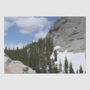 Snowy Granite Domes II Yosemite Nationalpark Seidenpapier