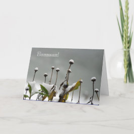 Snowy hält Weihnachtskarte auf Feiertagskarte