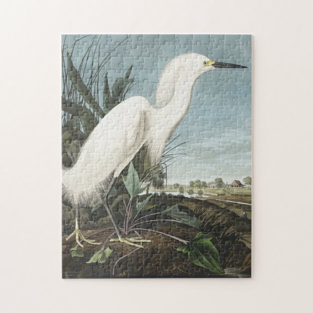 Snowy Heron oder White Egret von Birds of America Puzzle (Vertikal)