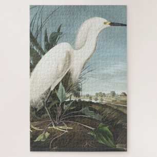 Snowy Heron oder White Egret von Birds of America Puzzle