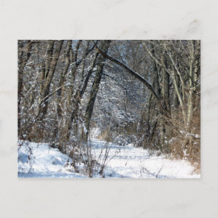 Snowy-Holz-Postkarte Postkarte