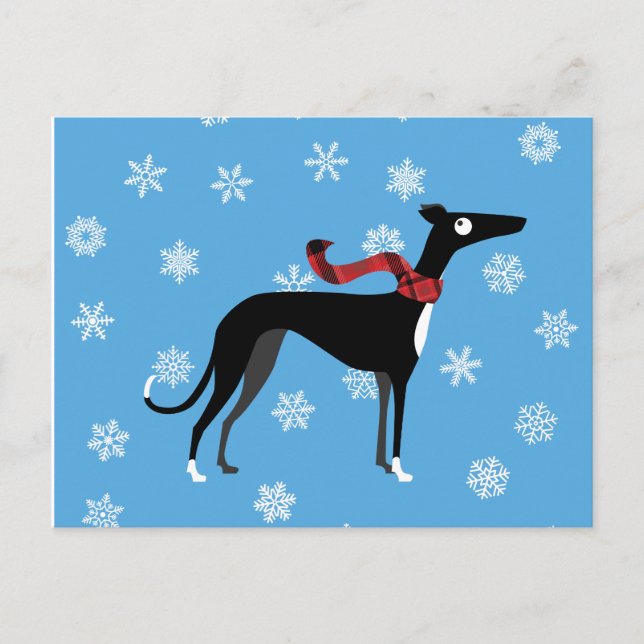 Snowy Hound Postkarte (Vorderseite)