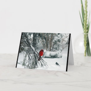 Snowy-Kardinals-Weihnachtskarte Feiertagskarte