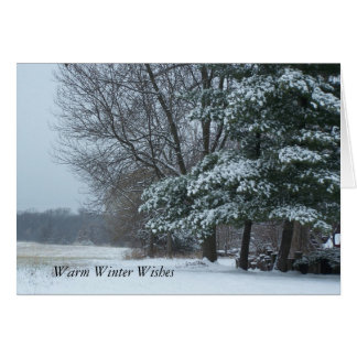 Snowy-Kiefer, warme Winter-Wünsche