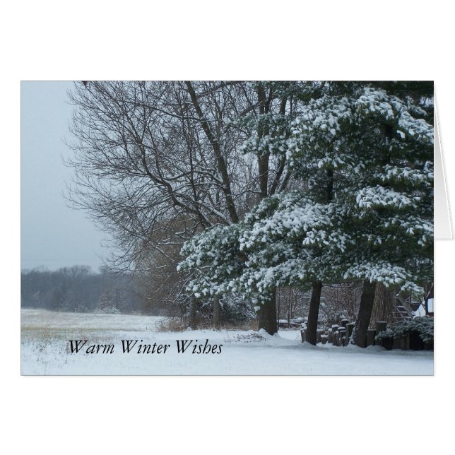 Snowy-Kiefer, warme Winter-Wünsche (Vorderseite (Horizontal))