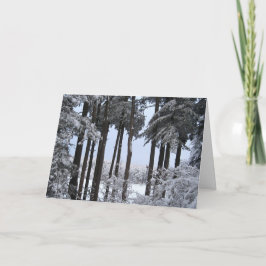 Snowy-Kiefern im blauen Licht Feiertagskarte