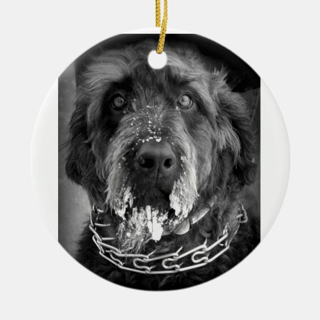 Snowy Labradoodle Keramikornament (Vorne)