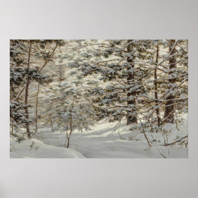 Snowy Landscape Poster (Vorne)