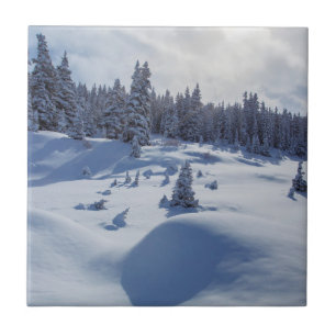 Snowy-Landschaft Fliese
