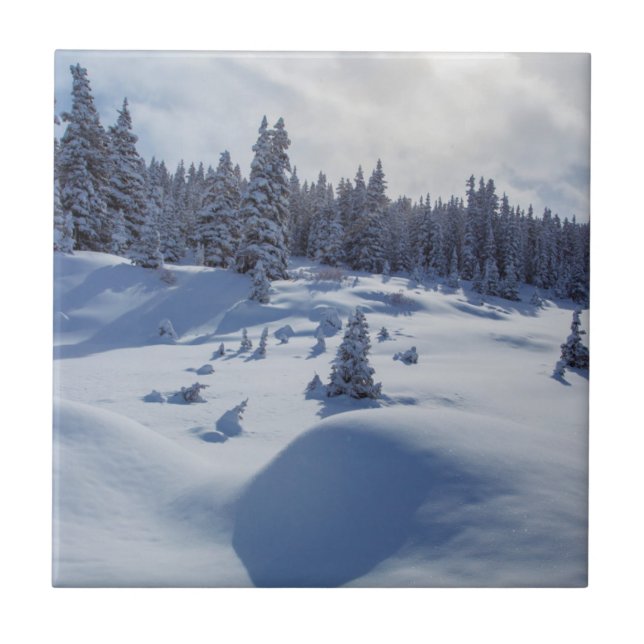 Snowy-Landschaft Fliese (Vorderseite)