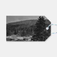 Snowy-Landschaft in Schwarzweiss