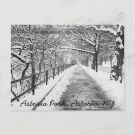 Snowy Lane Astoria, NY Postcard Postkarte