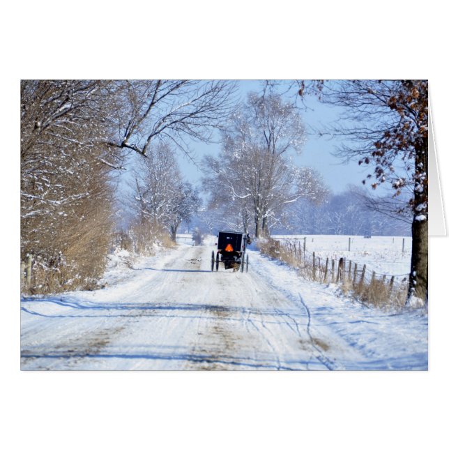 Snowy Lane in Amish Country (Vorderseite (Horizontal))