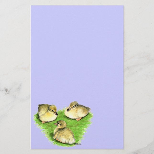 Snowy Mallard Ducklings Briefpapier (Vorderseite)