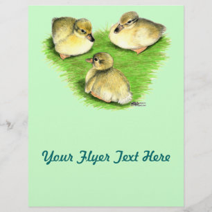 Snowy Mallard Ducklings Flyer