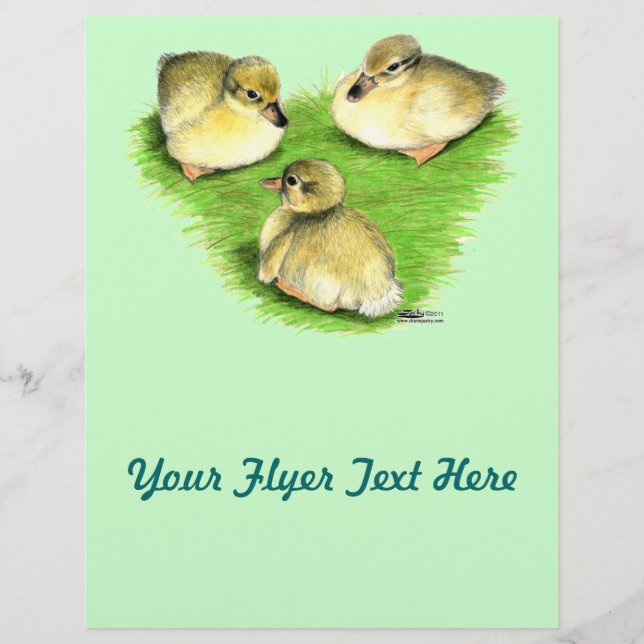 Snowy Mallard Ducklings Flyer (Vorne)