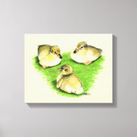 Snowy Mallard Ducklings