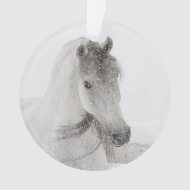 Snowy Mare Horse Ornament (Vorderseite)